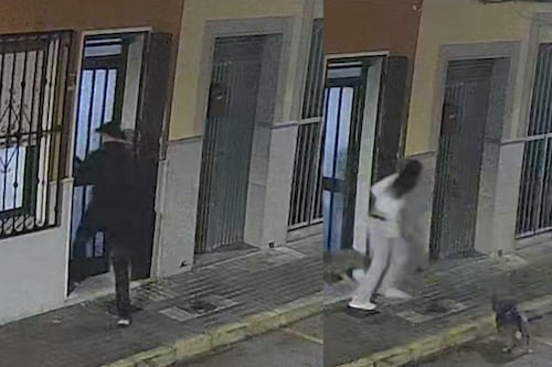 VIDEO: perrito evitó que su dueña fuera secuestrada en España al morder a uno de los atacantes