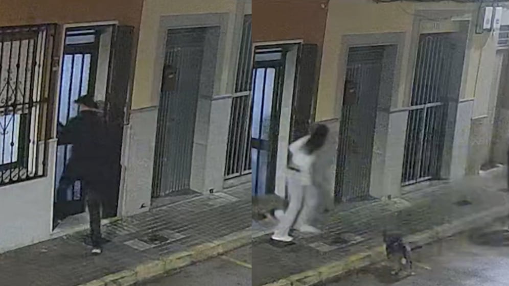VIDEO: perrito evitó que su dueña fuera secuestrada en España al morder a uno de los atacantes