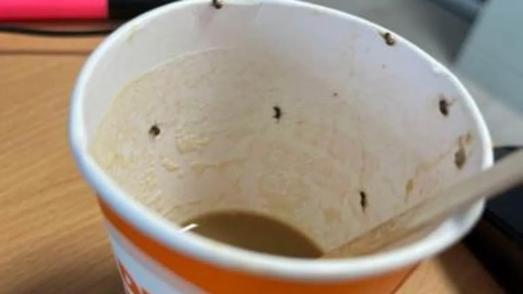 Mujer lucha por su vida después de beber un café lleno de insectos.