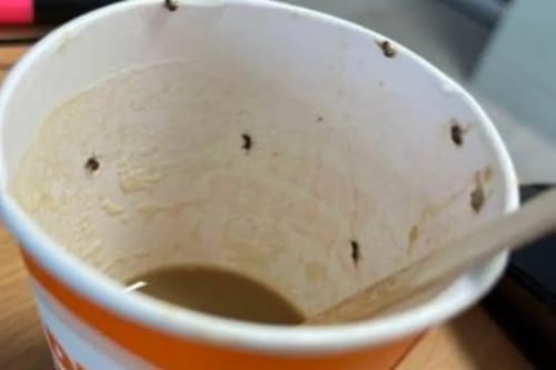 Mujer lucha por su vida después de beber un café lleno de insectos