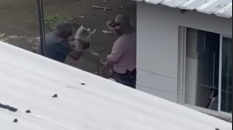 Maltrato animal en Quito