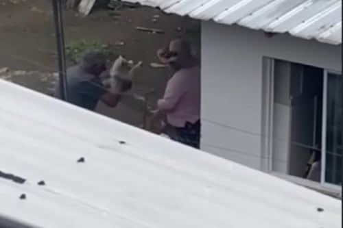 Meten a dos perritos en un costal y los abandonan en Clemente Ballén, sur de Quito