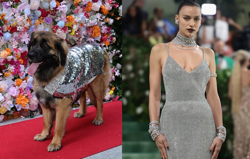 Pet Gala 2024