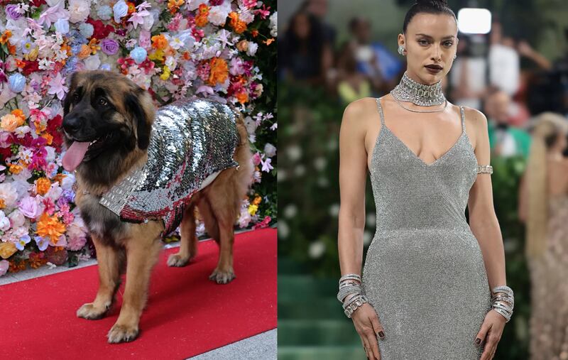 Pet Gala 2024