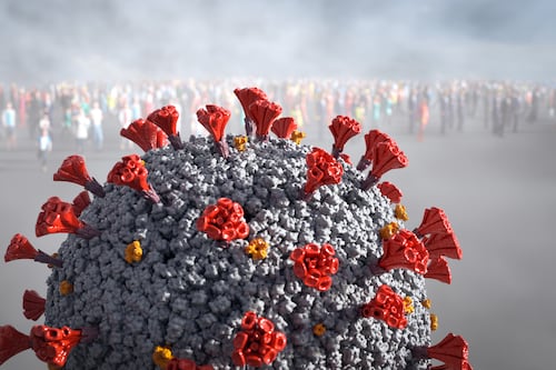 Investigadores de Wuhan descubrieron un nuevo coronavirus portado por murciélagos similar al COVID-19