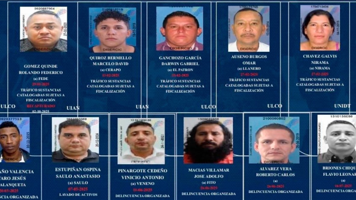 Los cabecillas y objetivos de alto valor que fueron capturados en operativos ejecutados durante 2025