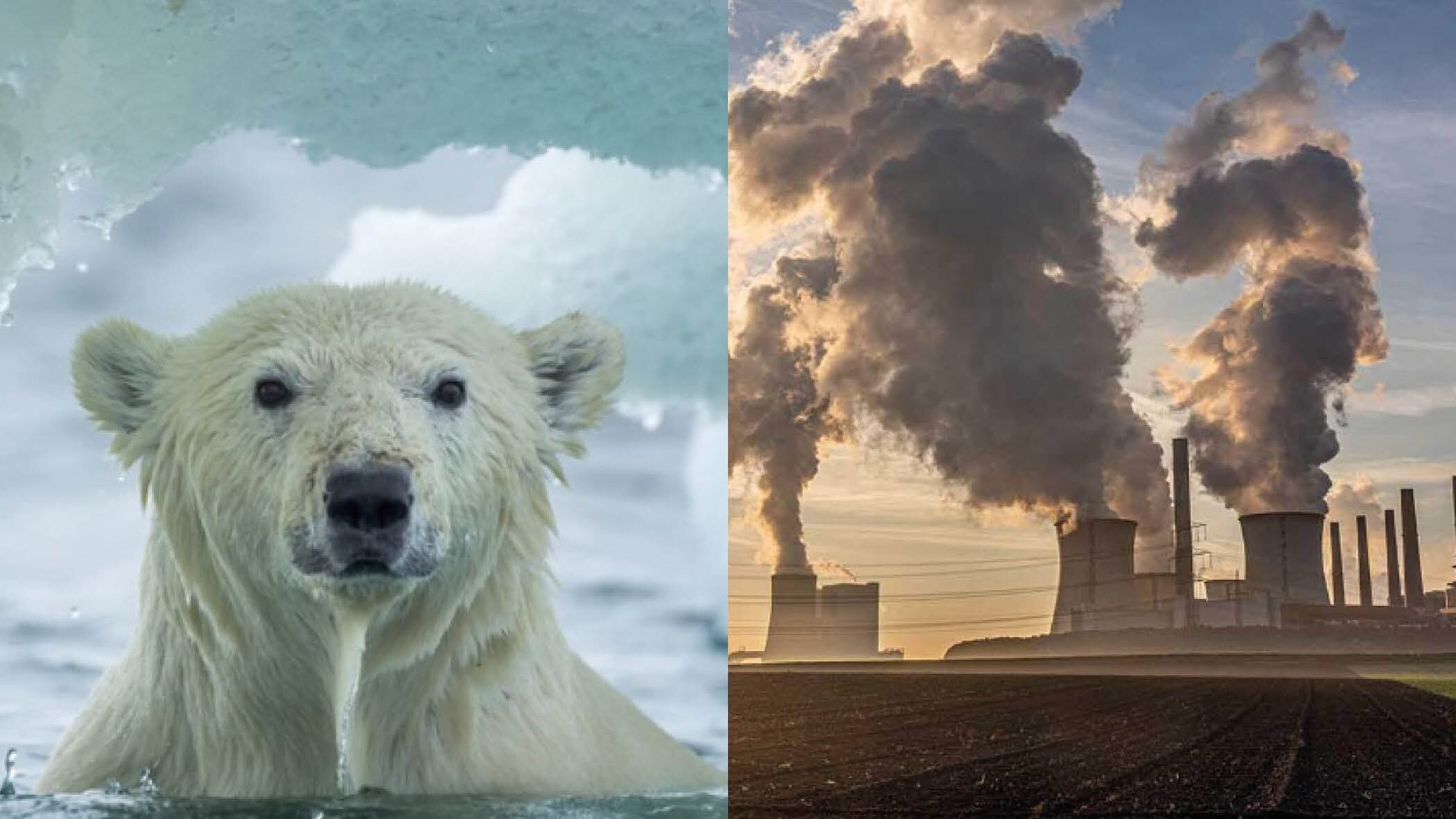 Estudio revela si es posible salvar el Ártico