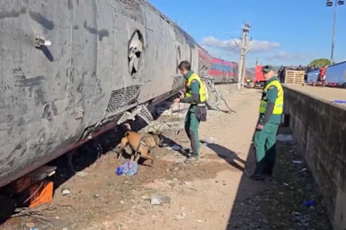 Perros especializados rastrean restos tras tragedia ferroviaria en España