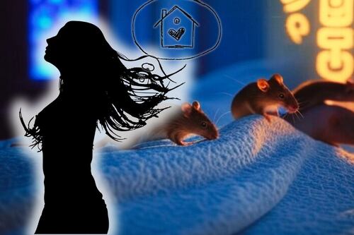 ¿Soñaste con un ex, serpientes o roedores? Mhoni Vidente desvela su significado