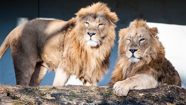 La historia se hizo conocida