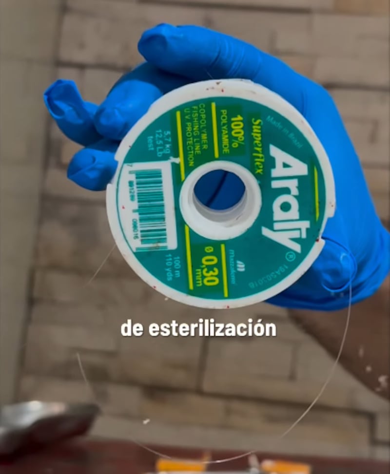 Clausuran clínica veterinaria clandestina en Guayaquil: utilizaban hilo de pescar para esterilizaciones  - Fuente: Municipio de Quito