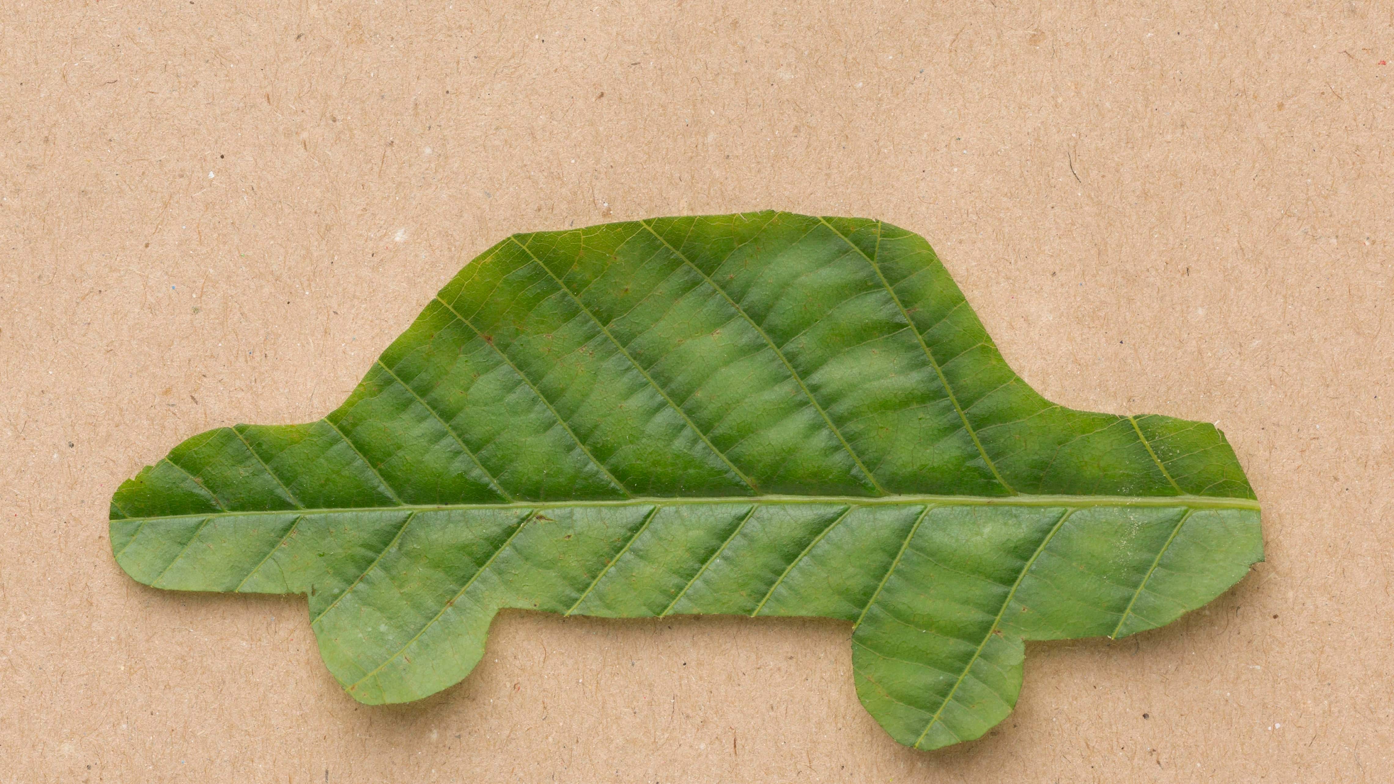 En la carrera hacia una movilidad más limpia, los autos híbridos y eléctricos se han convertido en protagonistas. Foto: Freepik.