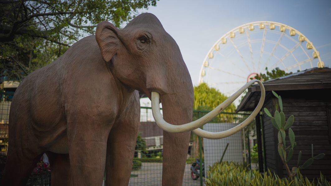 La muestra permite a los visitantes a una especie de viaje hasta hace 65 millones de años.