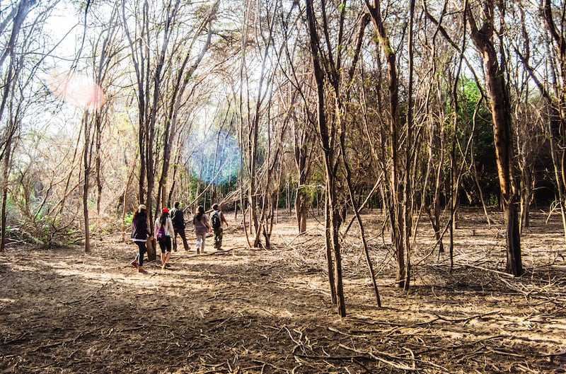 Turistas en el Santuario Histórico Bosque de Pómac.
