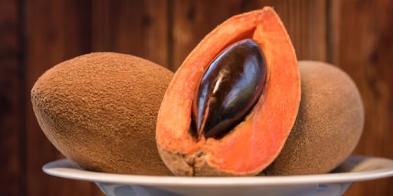 Hueso de mamey