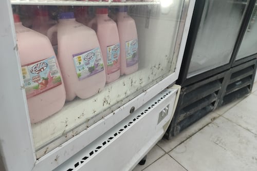 Estas son las faltas sanitarias más comunes que motivan clausuras en el Austro