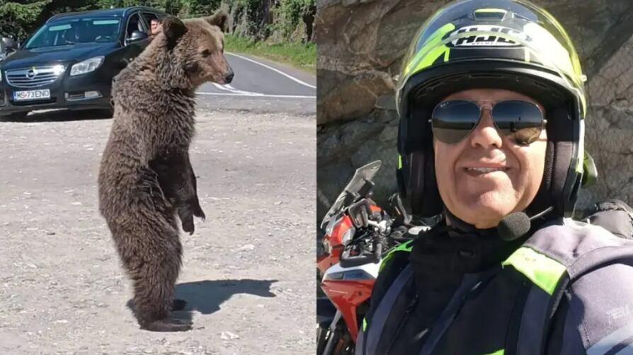 Hombre murió tras ser atacado por un oso con el que se tomó una ‘selfie’
