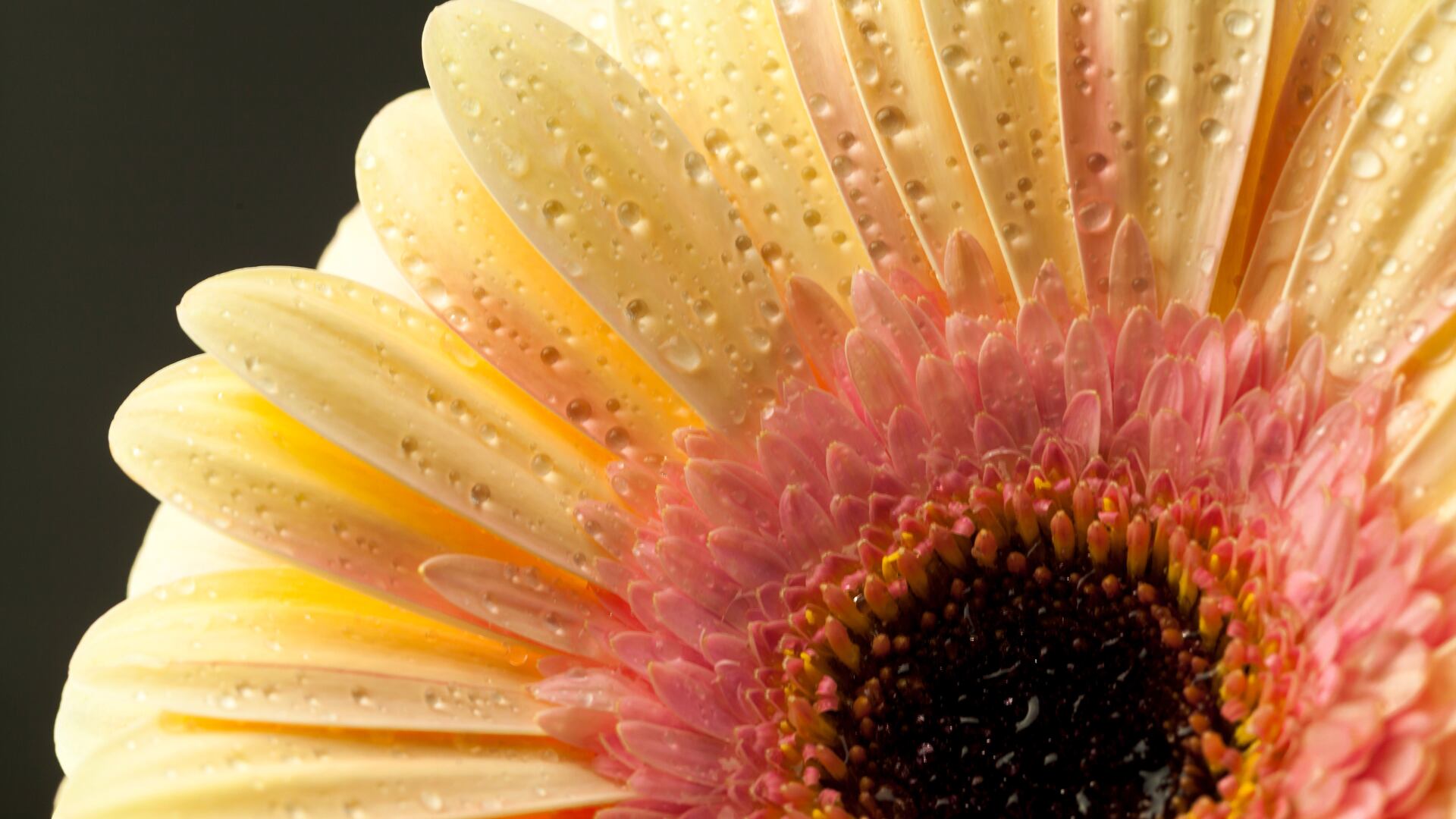 El equinoccio de primavera traerá un golpe de suerte para 5 signos del zodiaco