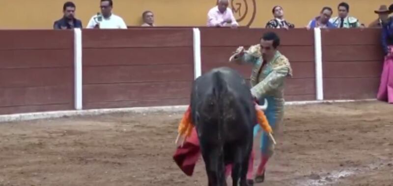Cornada de un toro a un matador en México.