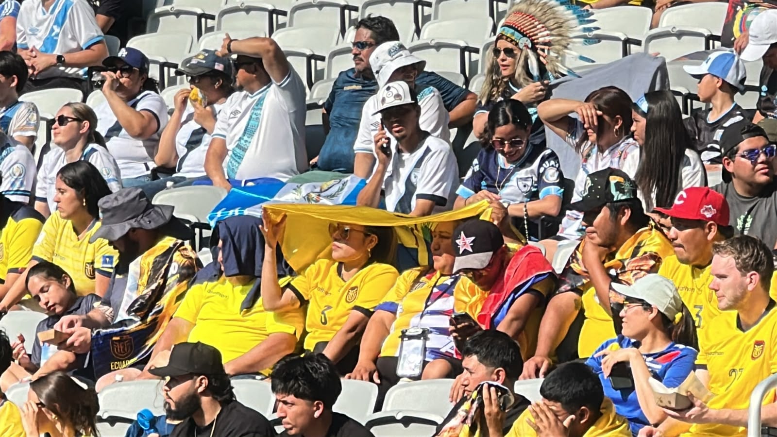 El sol será el peor aliado de la hinchada Tricolor en el Mundial . Foto: Carlos Bolaños (Metro Ecuador)