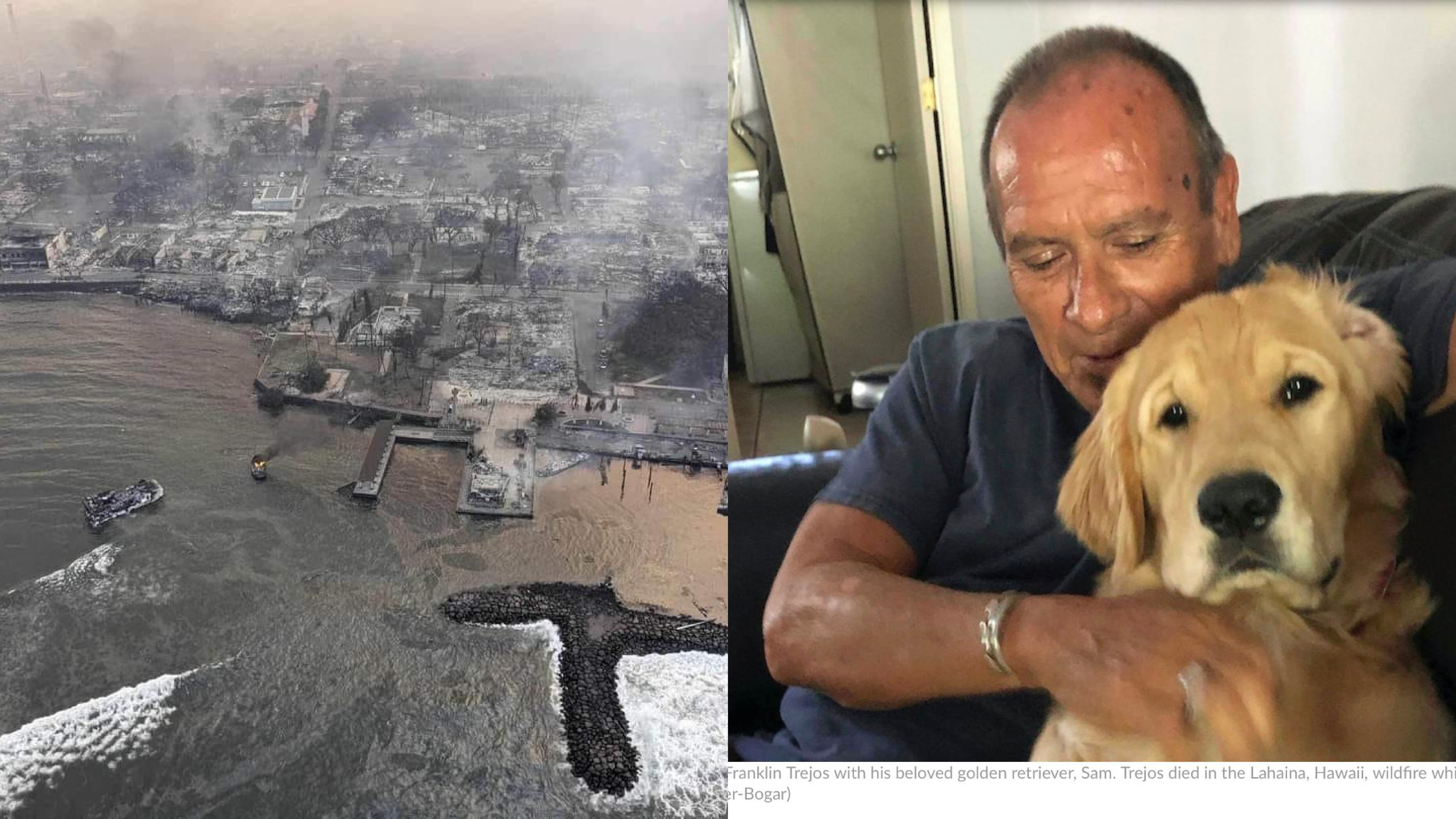 Hombre murió intentando proteger a su perro con su cuerpo en los incendios de Hawaii