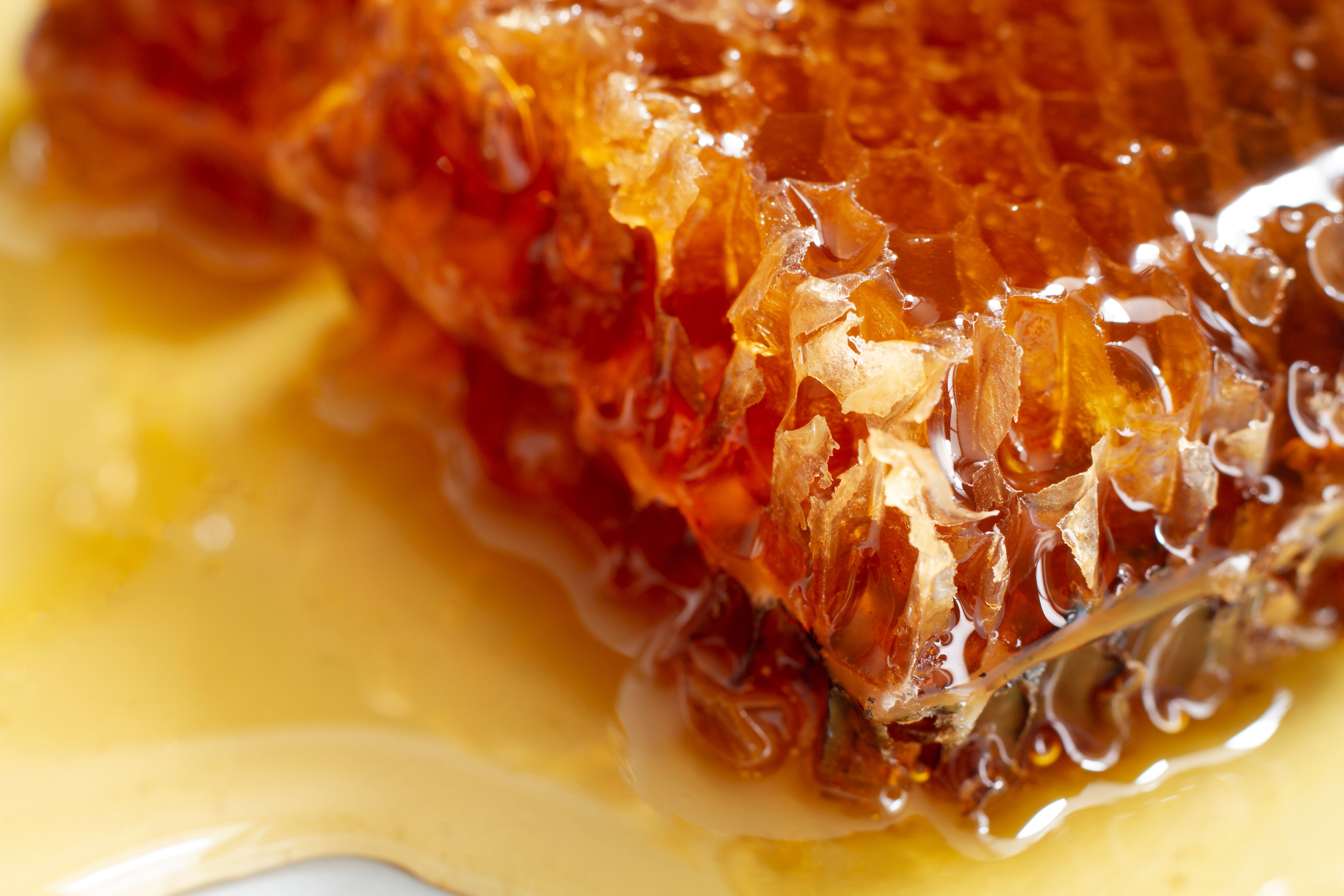 Miel: El Dulce Remedio Ancestral con Poderes Sorprendentes