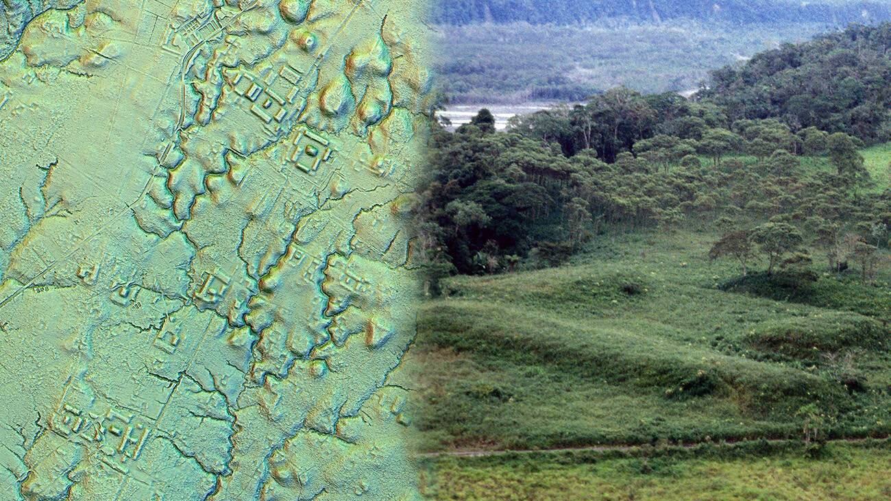 Selva amazónica ecuatoriana