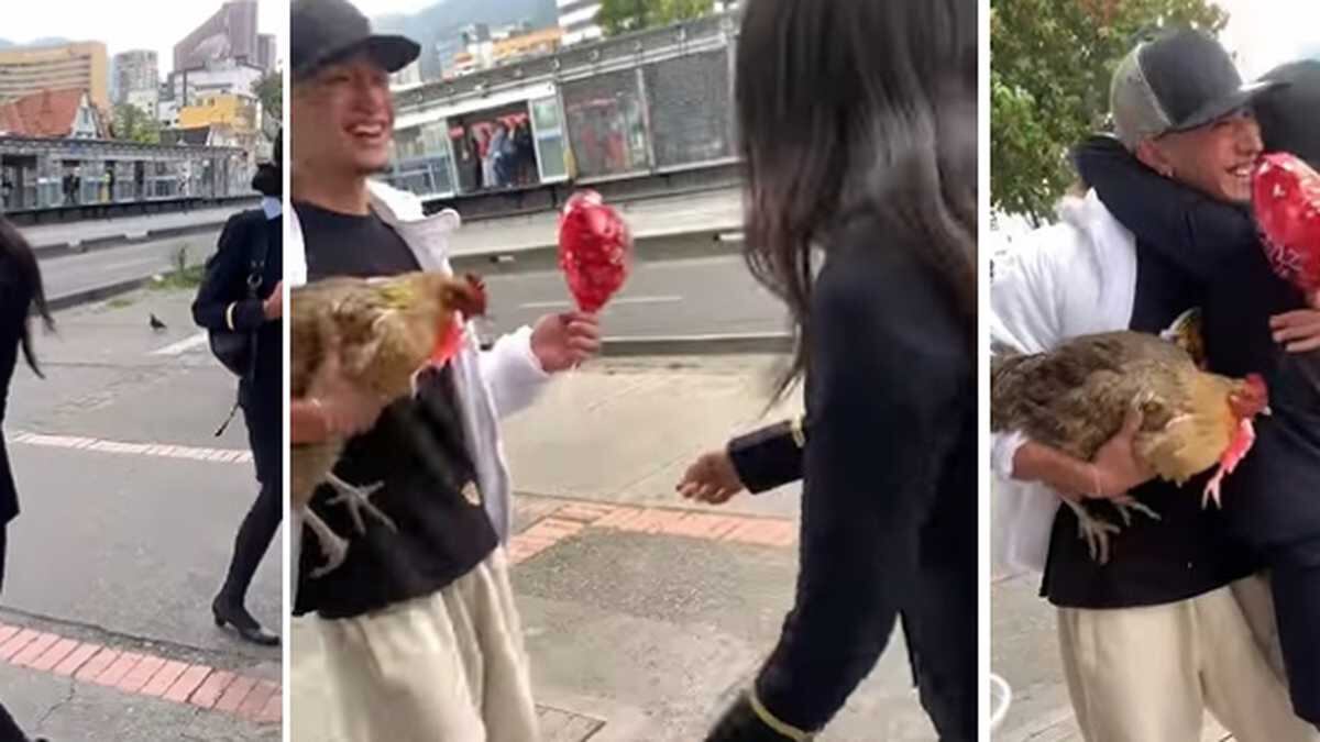 Novio regaló gallina