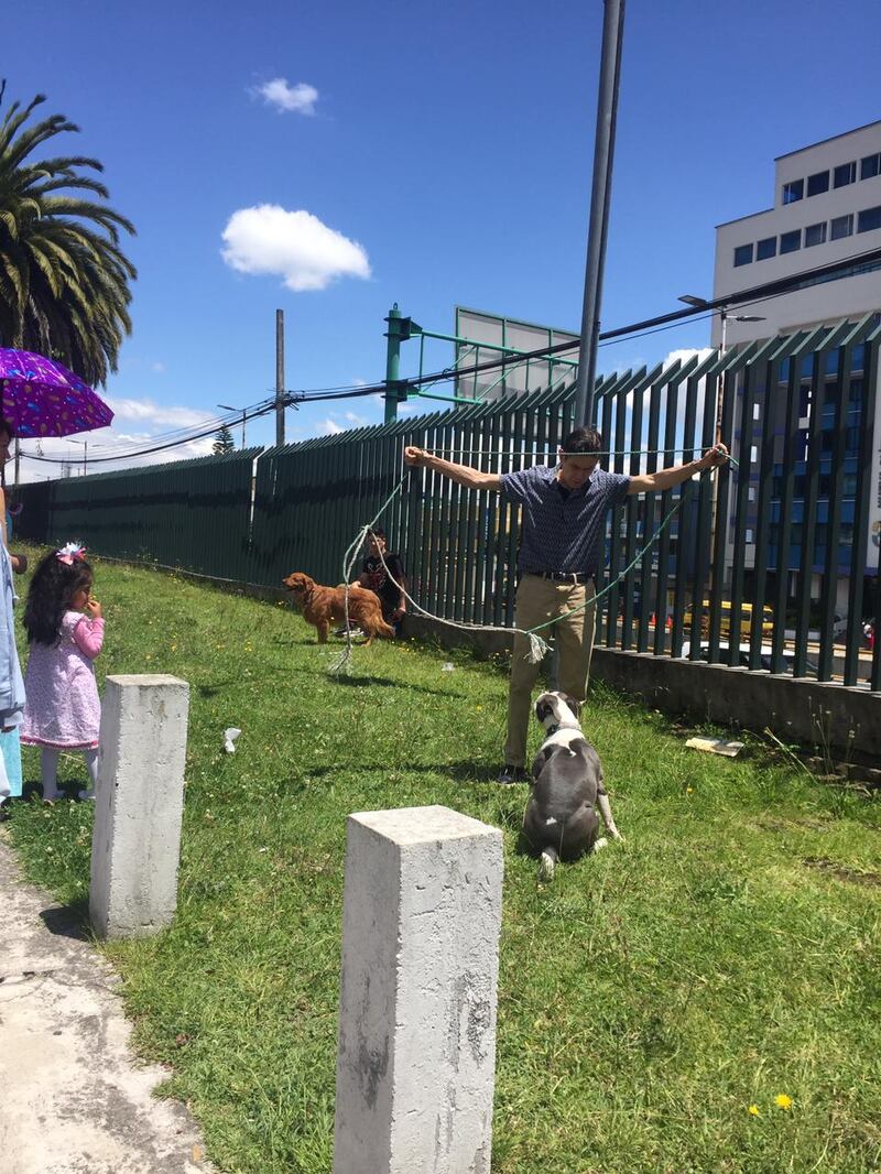 No permitieron ingresar con perros al Colegio San Gabriel