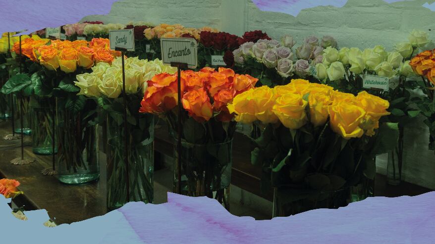 Expoflores cumple 40 años