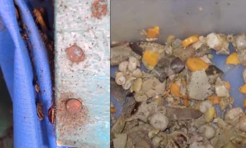 Arcsa clausura restaurant por caldo de salchicha insalubre