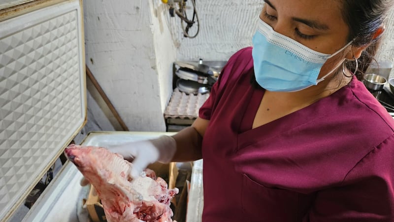 Análisis de cráneos hallados en chifa
