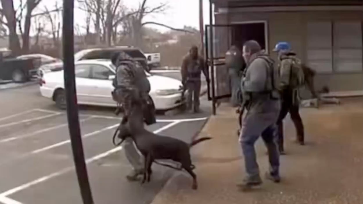 Policía rompe costilla a un perrito al patearlo durante el arresto de su dueño