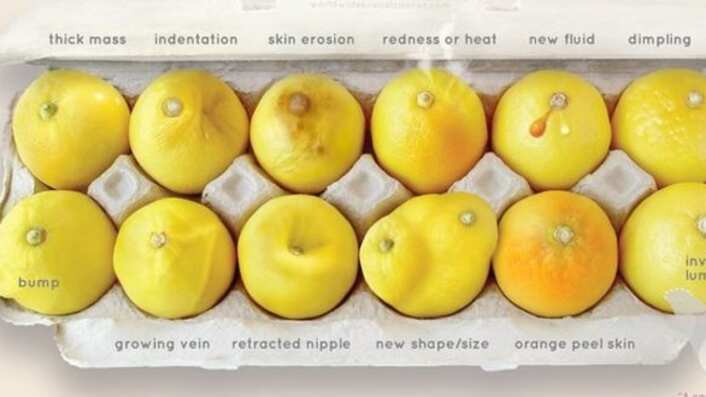 Facebook Erin Smith Chieze