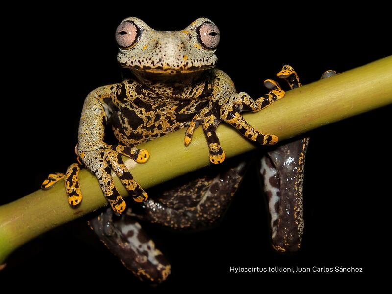 Presentan herramienta innovadora para la conservación de la biodiversidad en Ecuador – Metro Ecuador