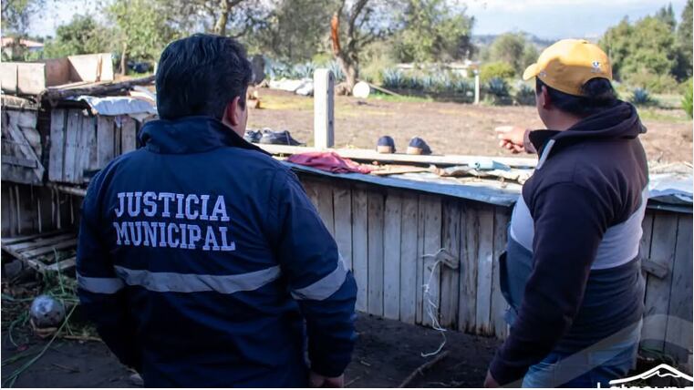 Inspectores animalistas llegando al lugar donde la mujer ahorcó a tres perros