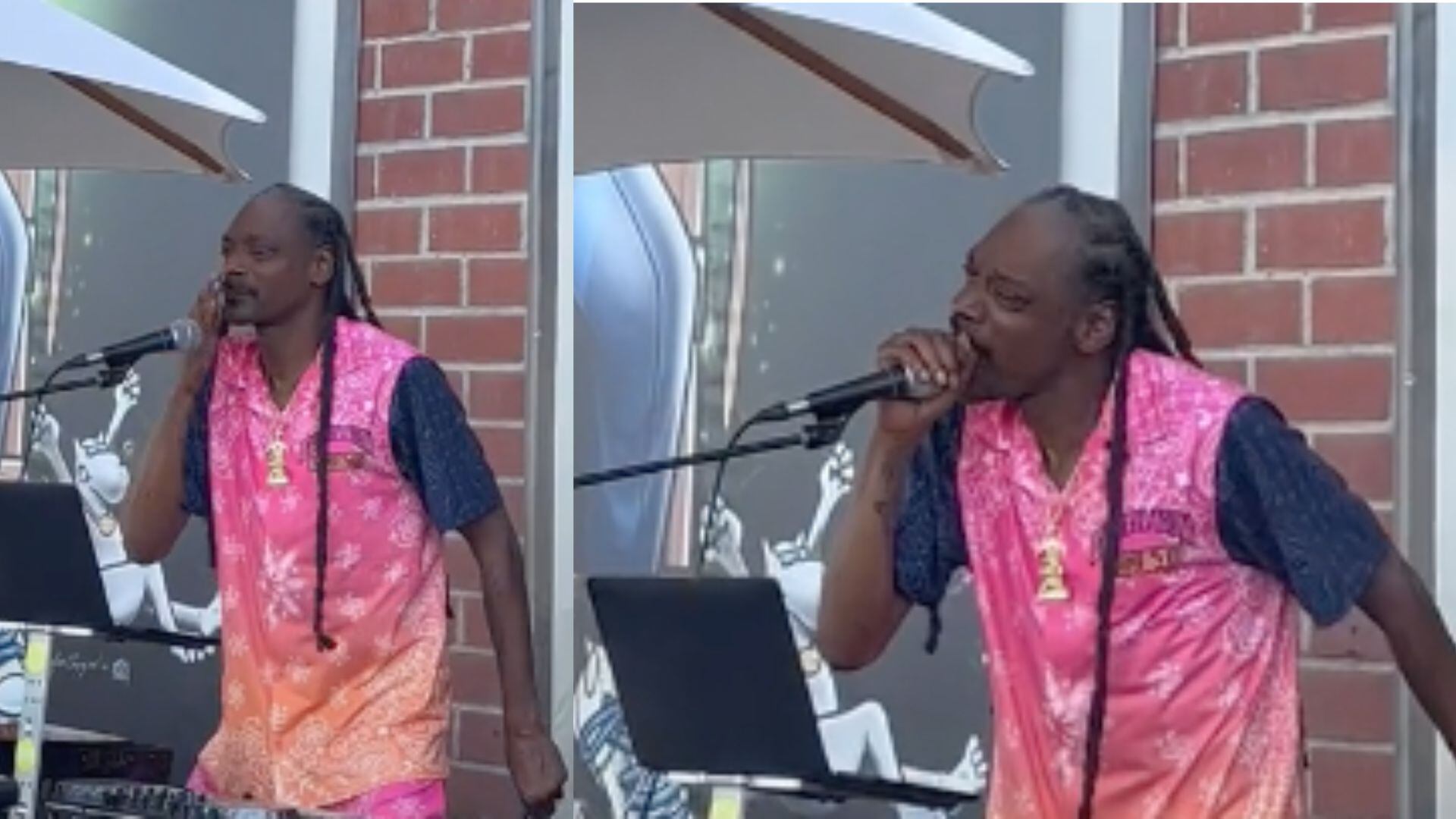 snoop dogg cantantado vicente fernandez pantallazo tomado de tiktok