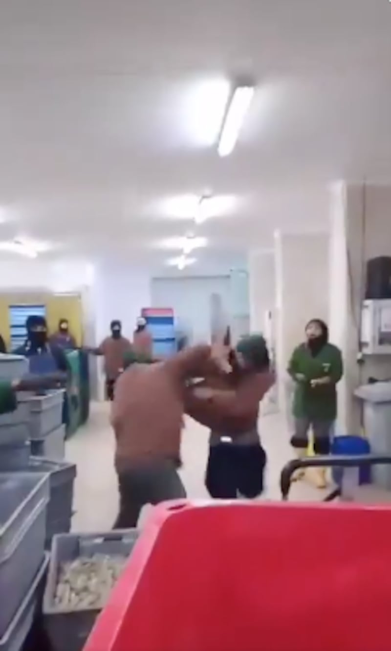 Empleados de una empacadora protagonizaron viral pelea en Guayas.