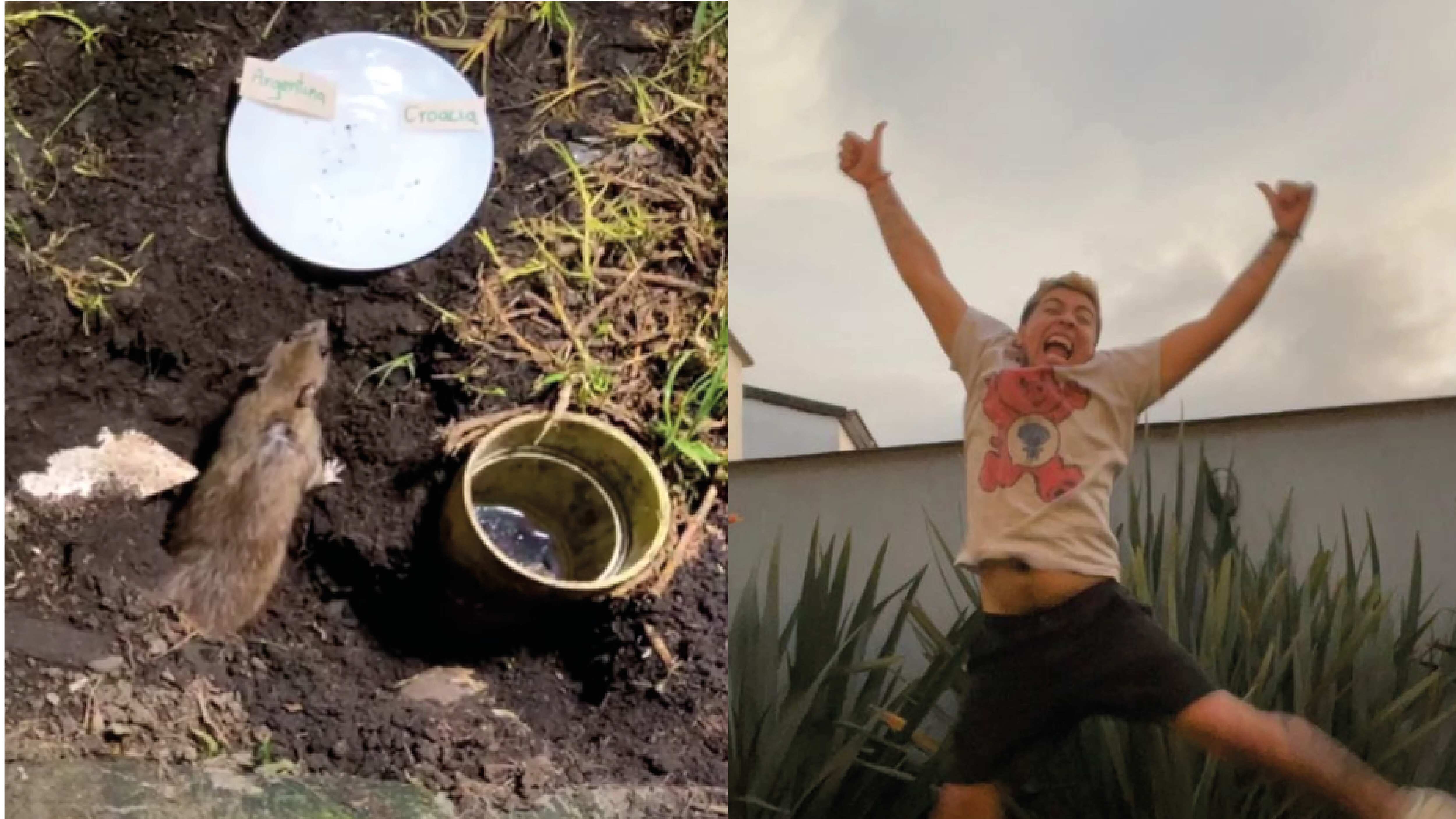 Juan Da pone a prueba a una rata para saber el ganador del Mundial