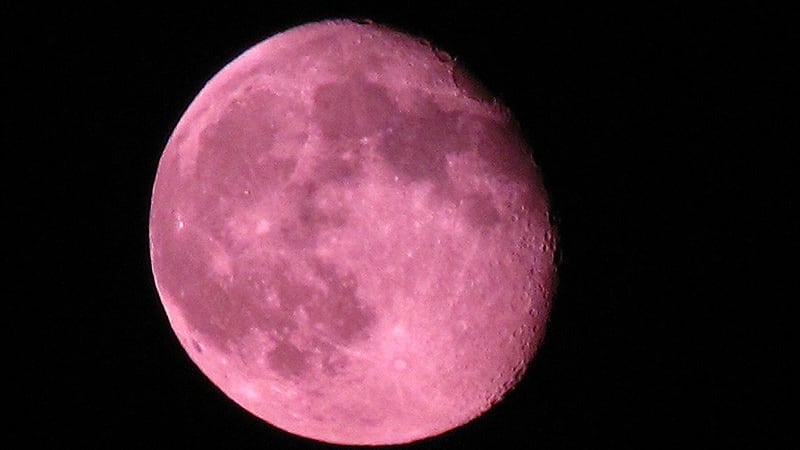 luna rosa