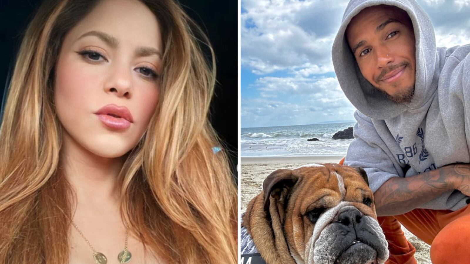 Shakira y Hamilton