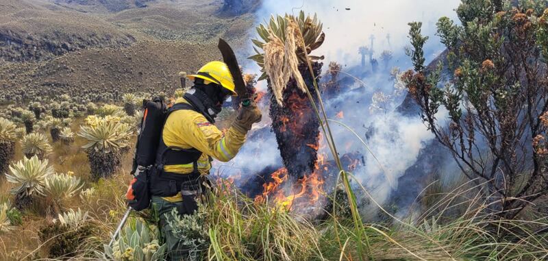 Incendio en la reserva El Ángel