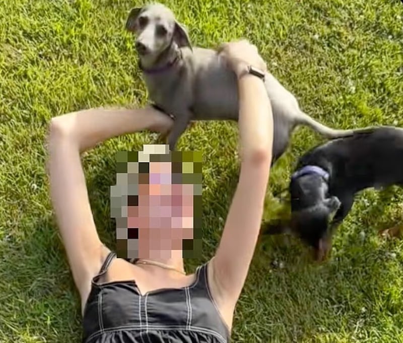 Mujer apuñaló a su exesposo tras enterarse que sacrificó a sus perros - Fuente: Foto de X