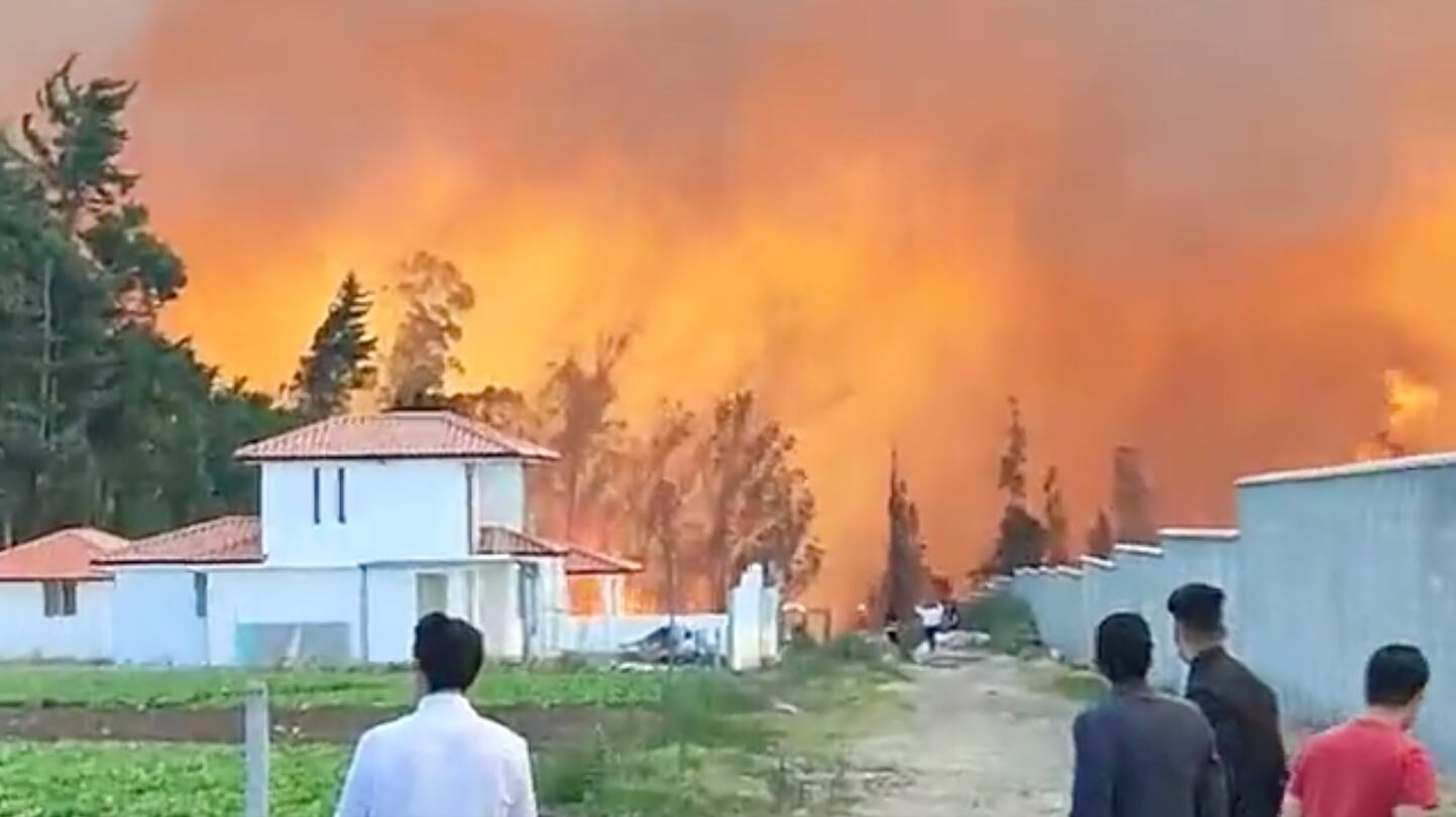 Incendios forestales