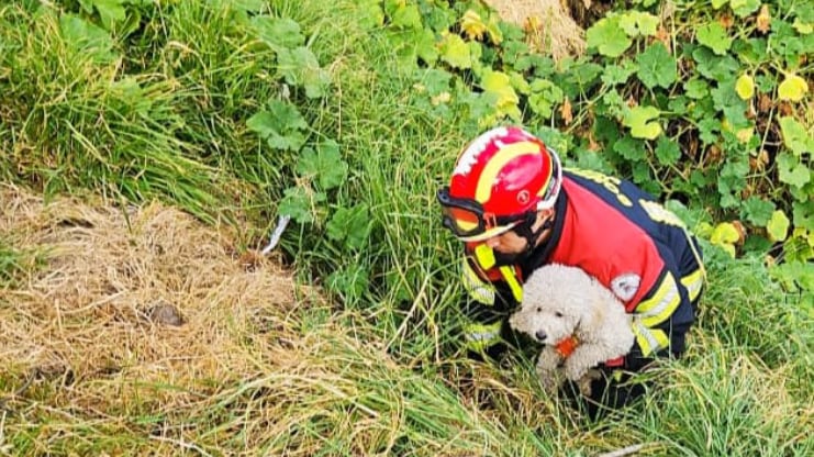 Muñeca fue rescatada de una quebrada en el sur de Quito tras caer por accidente