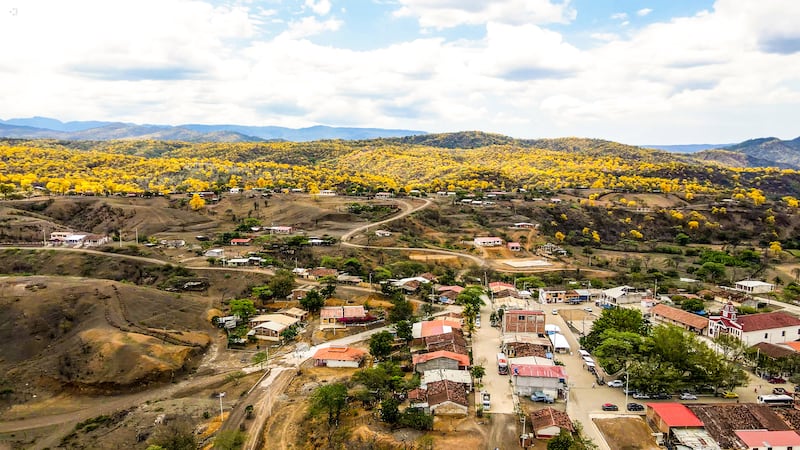 Florecimiento de los Guayacanes en Zapotillo, Loja.