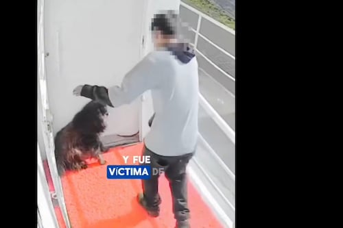 Esta es la posible sanción para el hombre que agredió a Oso, el perrito de 10 años