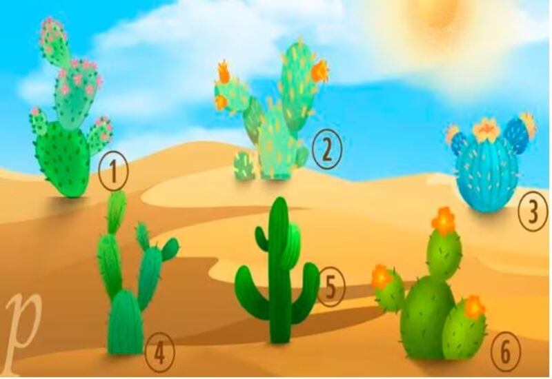 Imagen del test visual