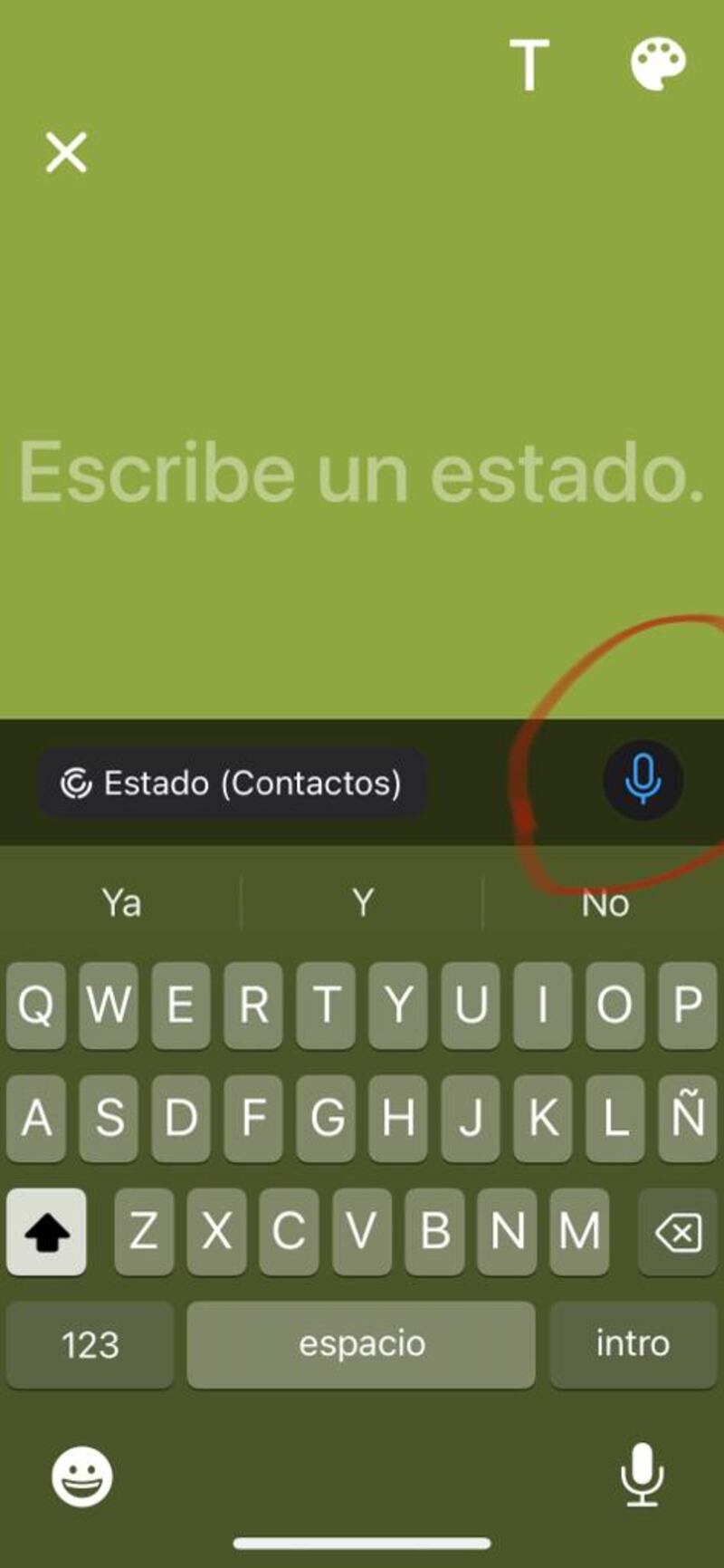 Estados de voz en WhatsApp