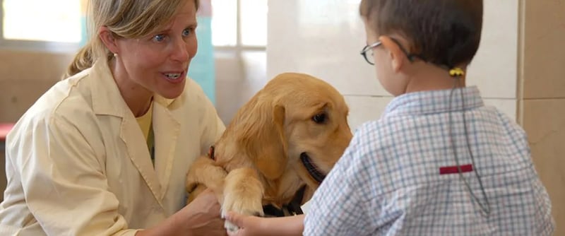 El importante papel que cumplen los perros en el tratamiento de pacientes con TDAH.